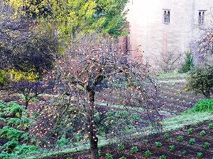 s-20121210 alhambra (31).jpg